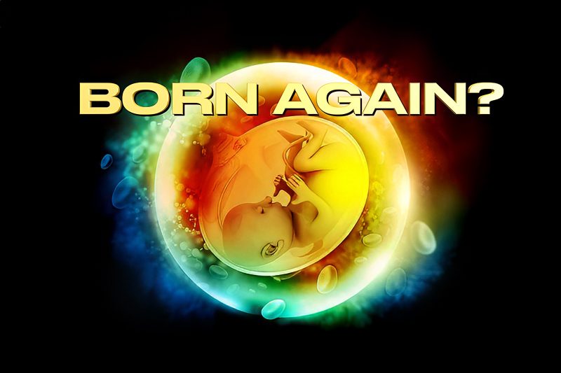 born again still 800x533
