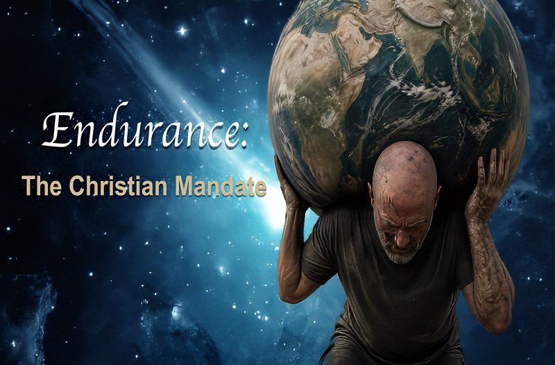 web size copy 800x533